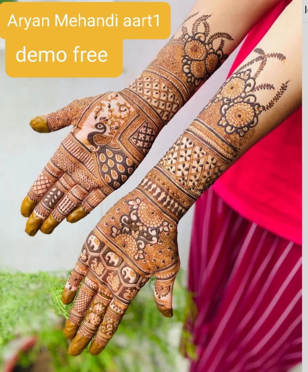 Hand mehndi detail from Aryan Mehndi Arts gallery, photo 52